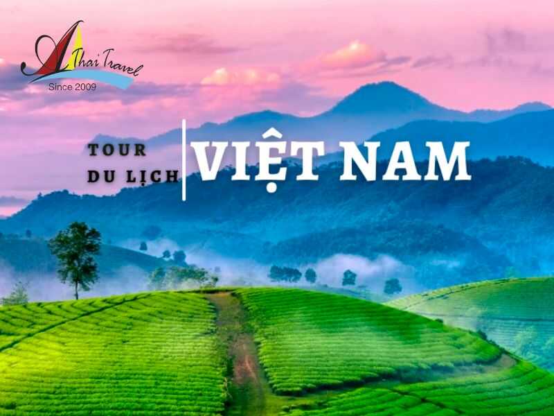 Viet Nam tour service - Tips You Need to Know Before Traveling